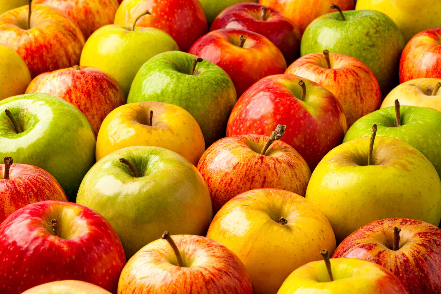 A-Feast-of-Apples-FT-2-MAG1123-980271d42b1a489bab239b1466588ca4 A-Feast-of-Apples-FT-2-MAG1123-980271d42b1a489bab239b1466588ca4
