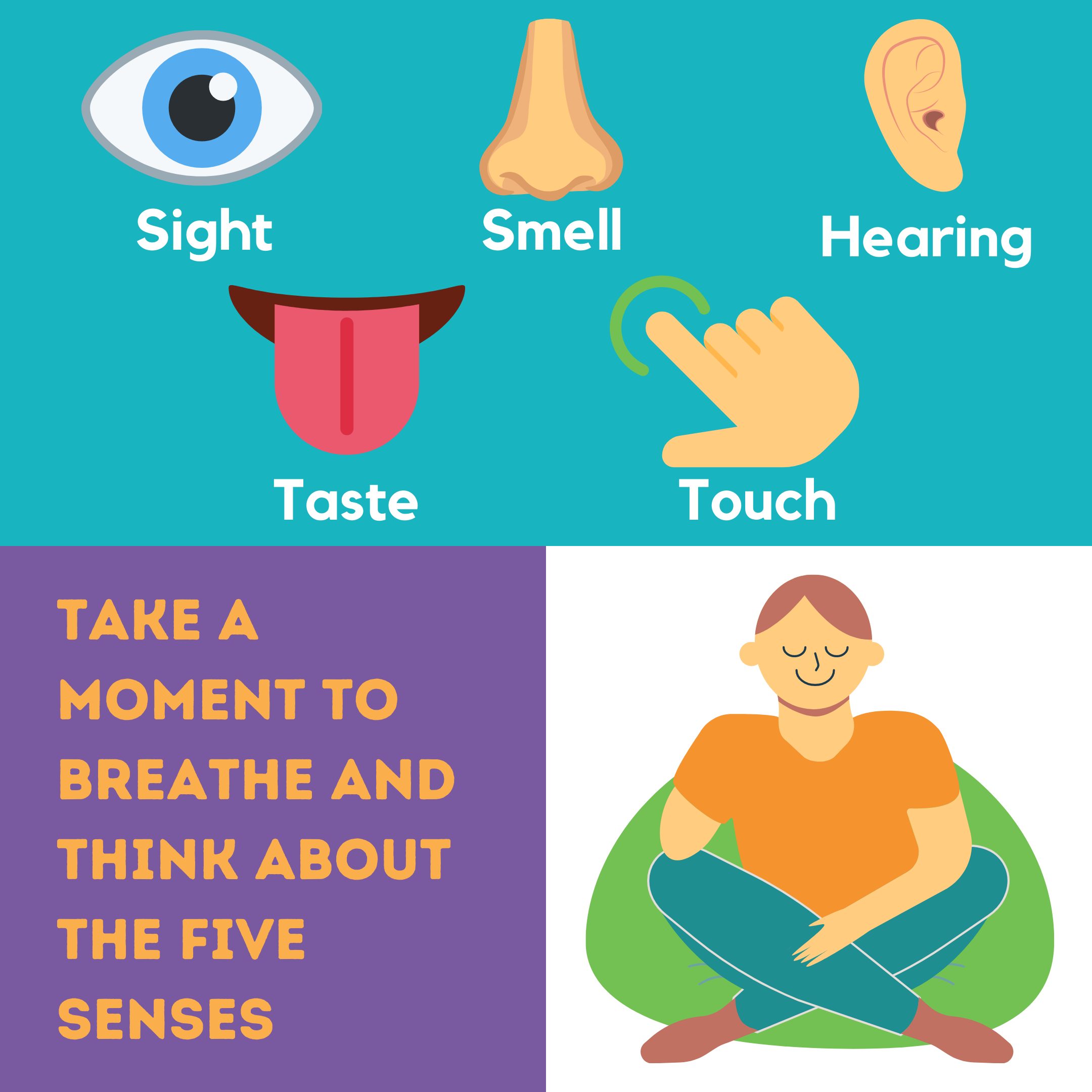 The Five Senses Sight