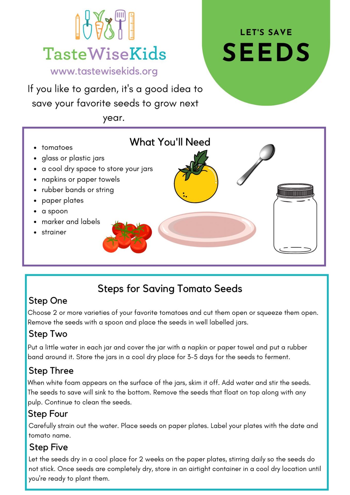 _Saving Tomato Seeds Activity