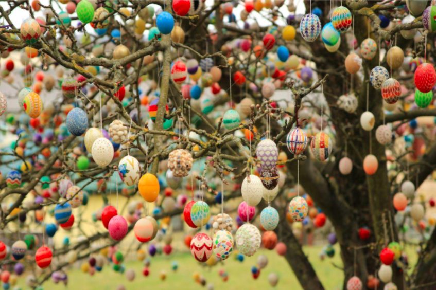Ostereierbaum- German Easter egg tree