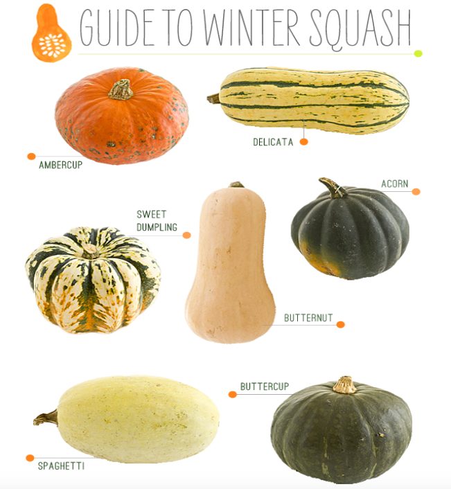 guide to autumn squash