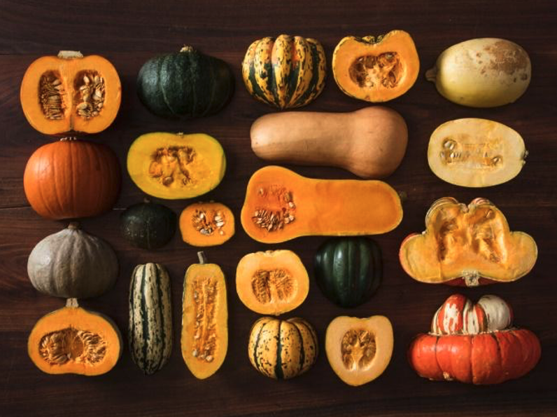 array of squash and gourds