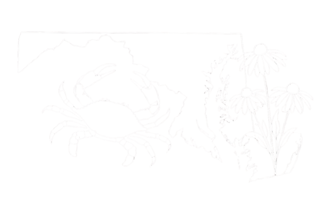 White line drawing of crab, black eyed susan flower, at outline of Maryland