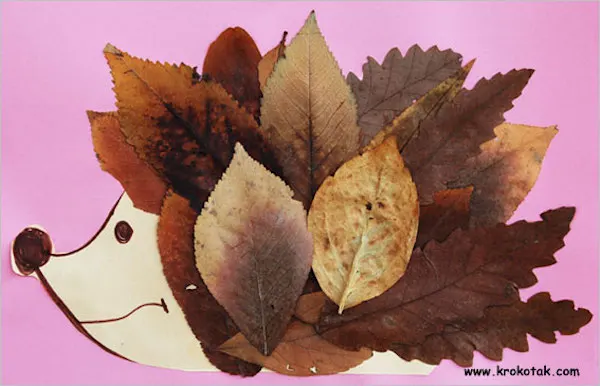 leaf-hedgehog.jpeg leaf-hedgehog.jpeg