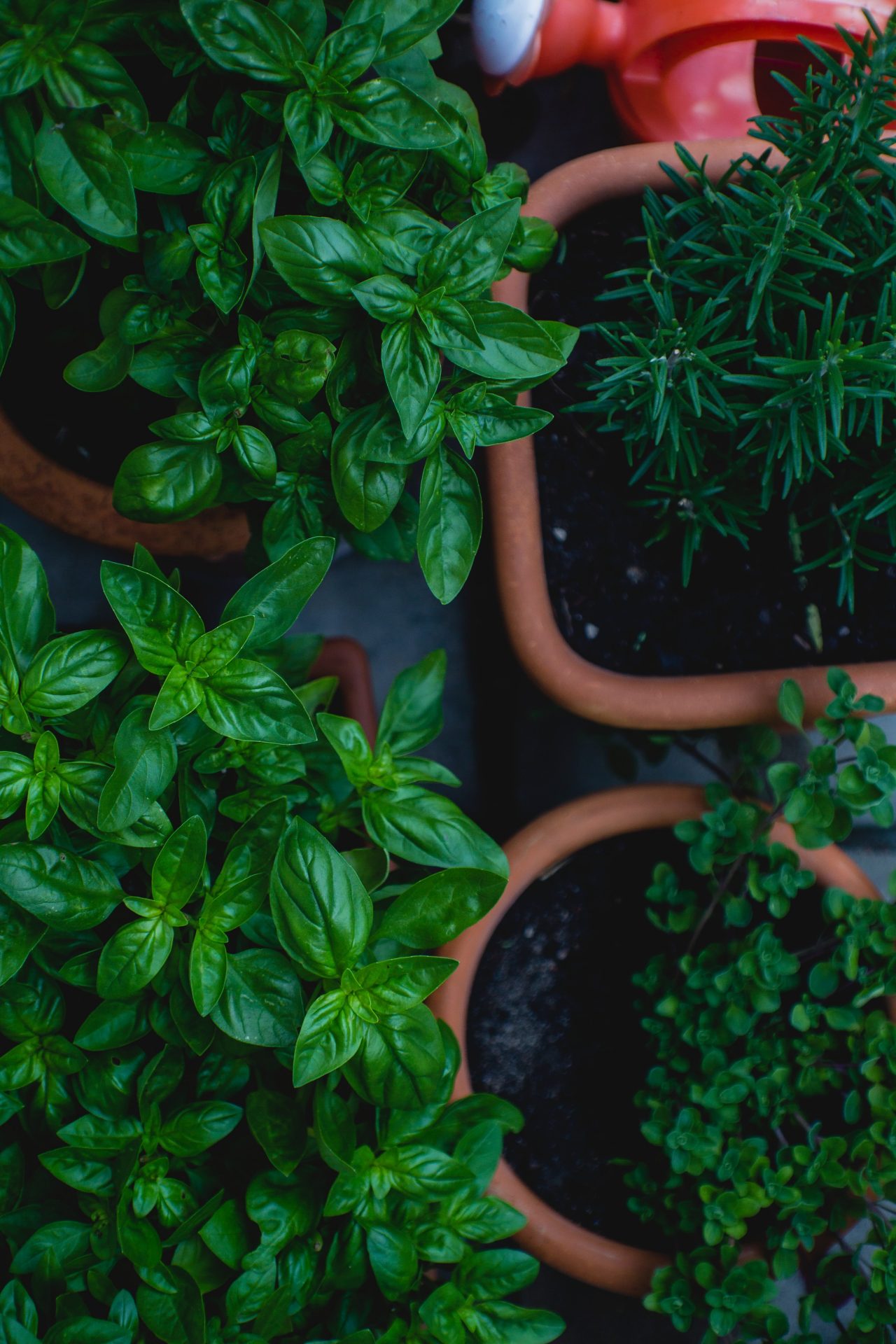 markus-spiske-6hDDnisCRMk-unsplash markus-spiske-6hDDnisCRMk-unsplash