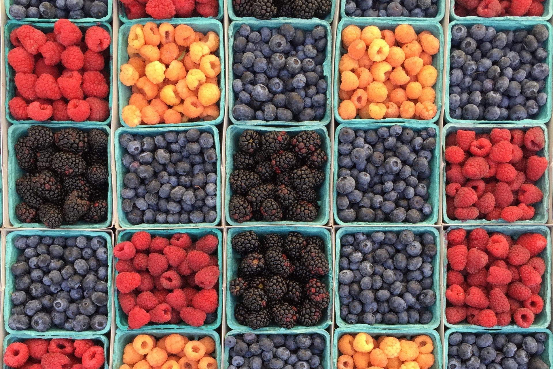 berries berries